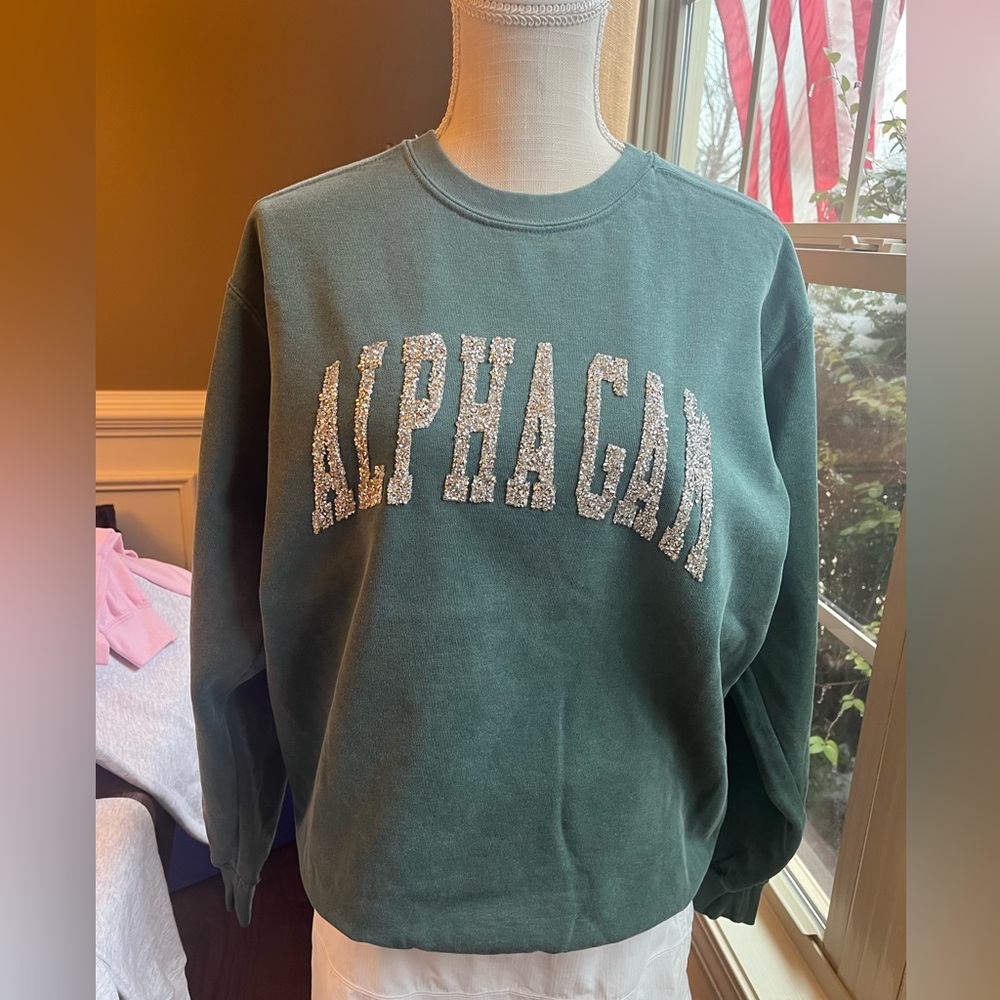 NWT Alpha Gam Sweatshirt